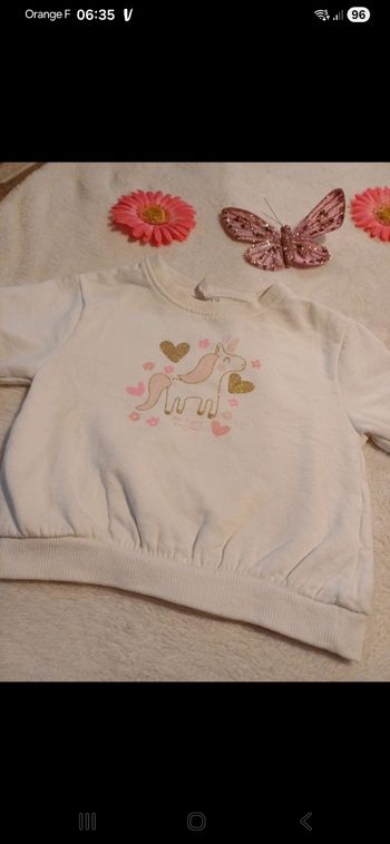Sweat bébé taille 12 mois