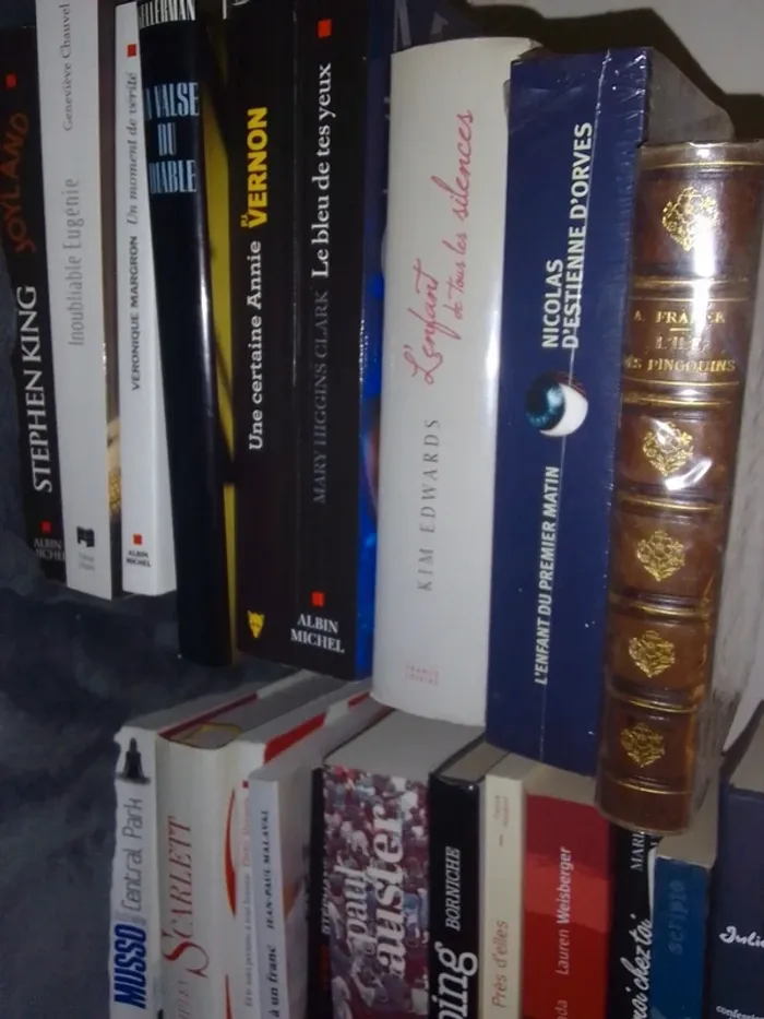 Livre A l unité - photo numéro 6
