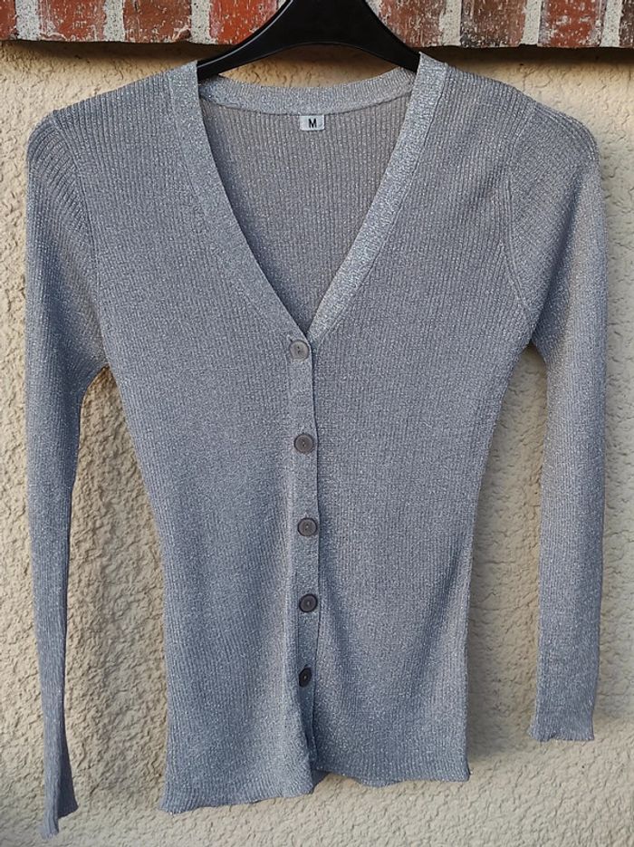 Gilet gris pailleté