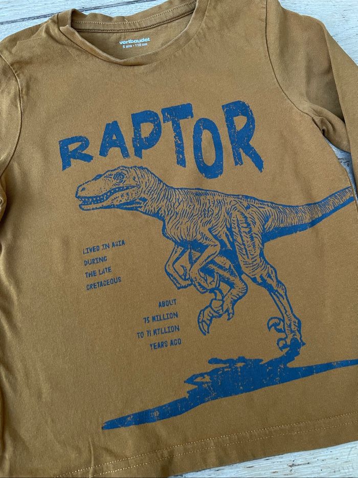 Teeshirt manches longue dinosaures 5 ans - photo numéro 2