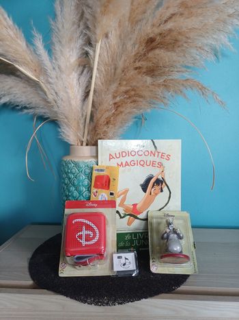 Enceinte audioconte neuve 2024 + carte SD originale 150 histoires + carte SD 99 musiques + audioconte n°2