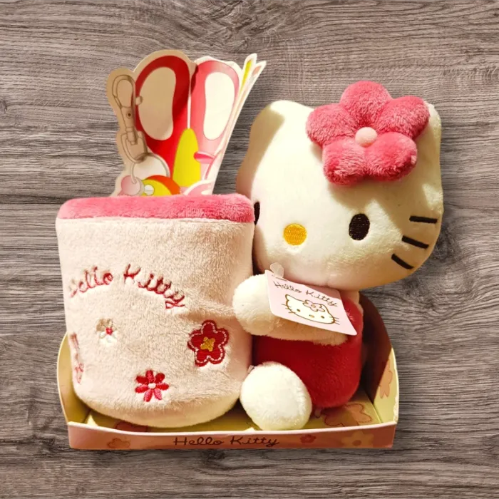 Hello kitty vide poche🩷