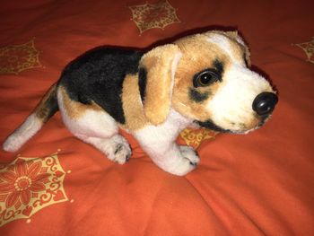 Peluche chien