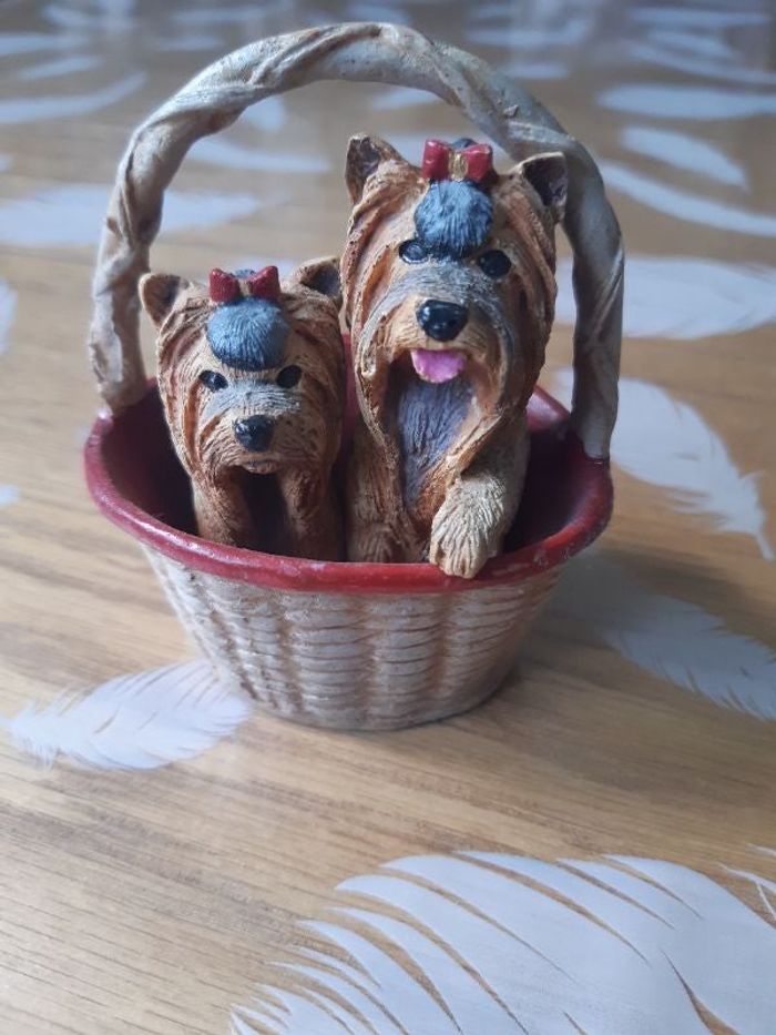 Collection Races de Chiens