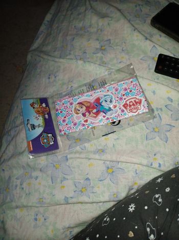 Petite trousse pat patrouille en sky