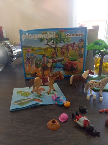 Playmobil country