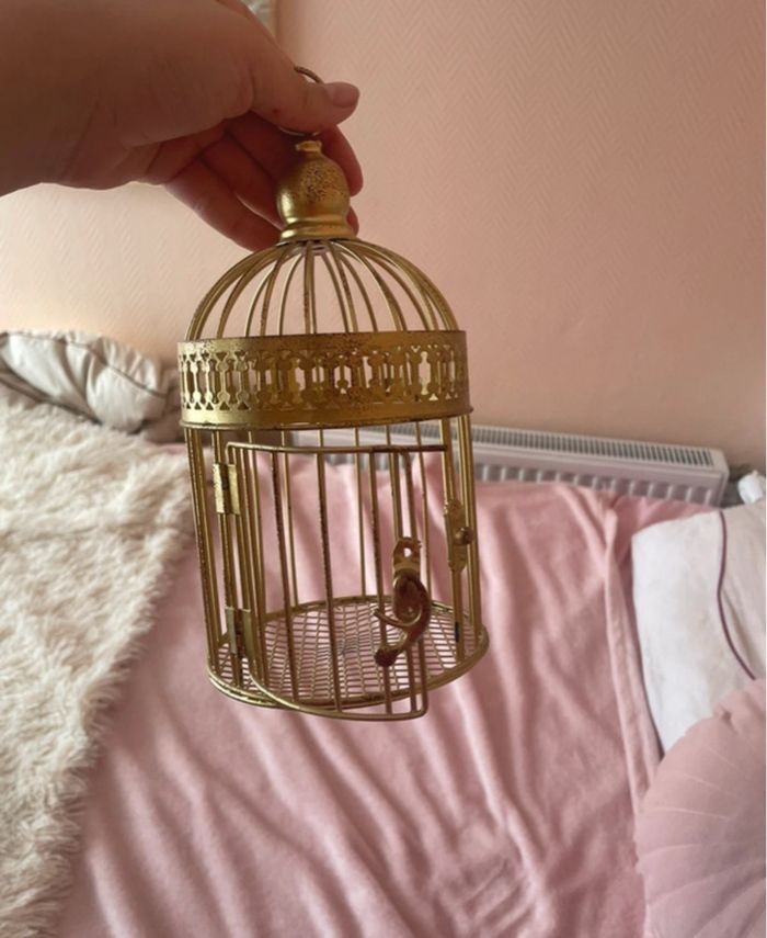 Cage oiseaux - photo numéro 5