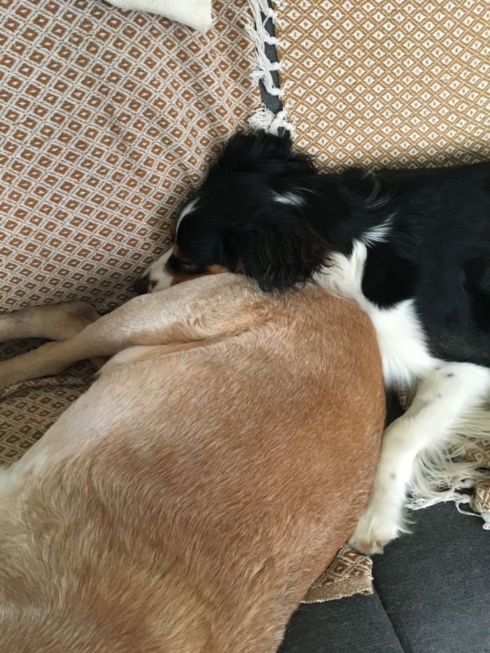 Pull Armand Thierry T3 - photo numéro 2