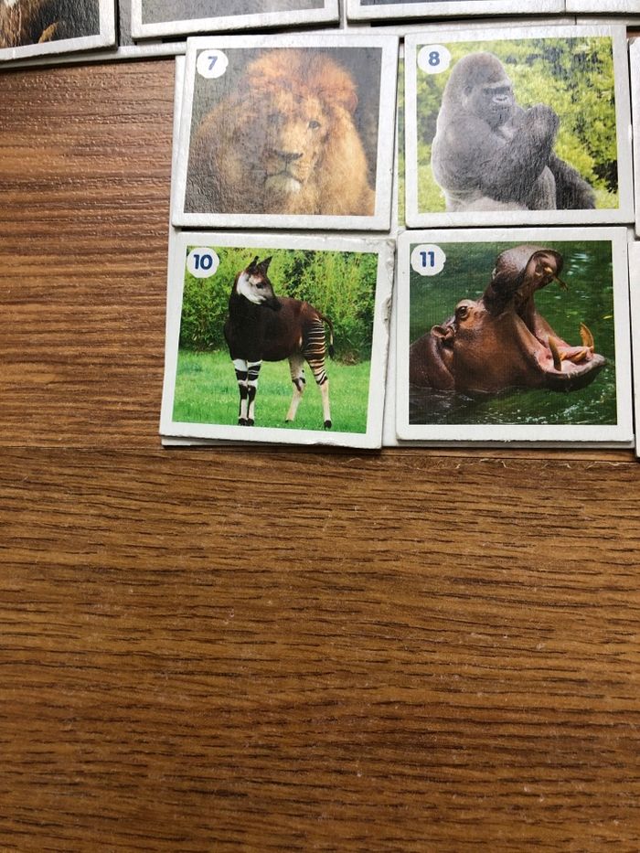 Loto zoo de beauval - photo numéro 3