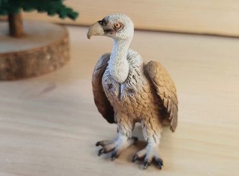 Schleich vautour Figurine Animal de la savane
