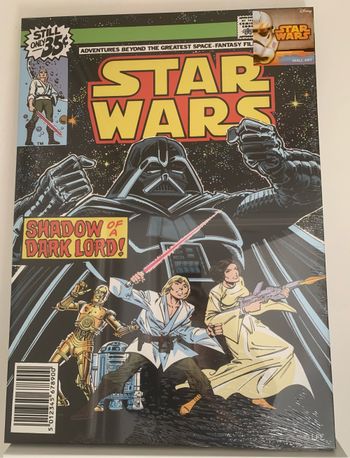 Cadre Disney  Star Wars