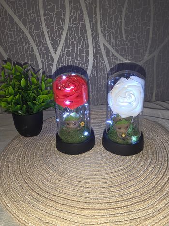 Rose eternelle led groot