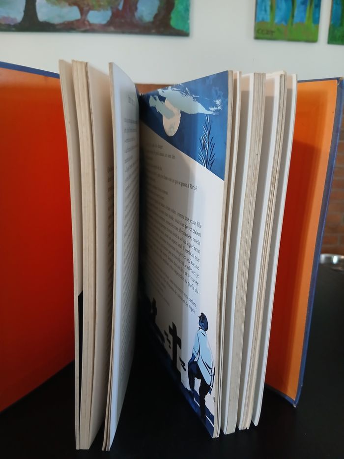 Livre Jeunesse Mille ans de Frissons - photo numéro 5