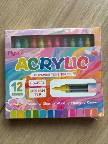 Boîte de 12 feutres acrylique pointe brush  Flysea neuve