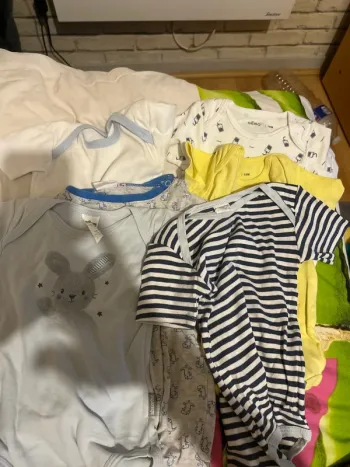 Lot 6 body