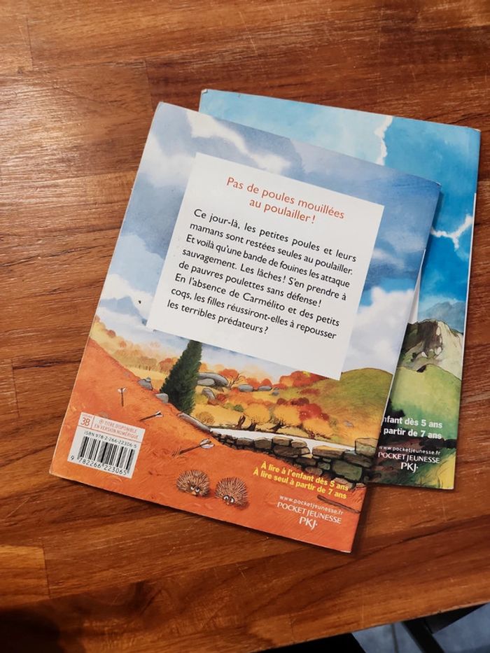 Lot de 2 livres : Les p'tites poules - photo numéro 10