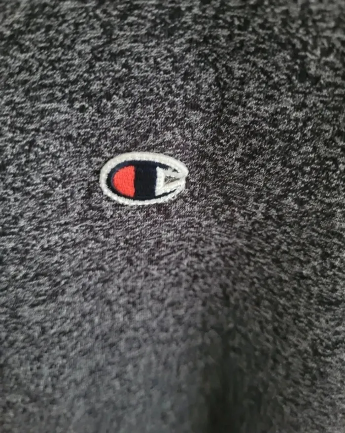Pull capuche Champion - photo numéro 3