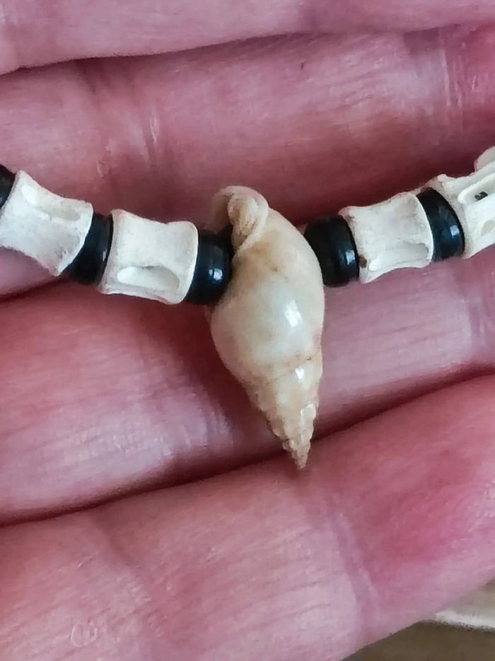 Collier coquillage - photo numéro 4