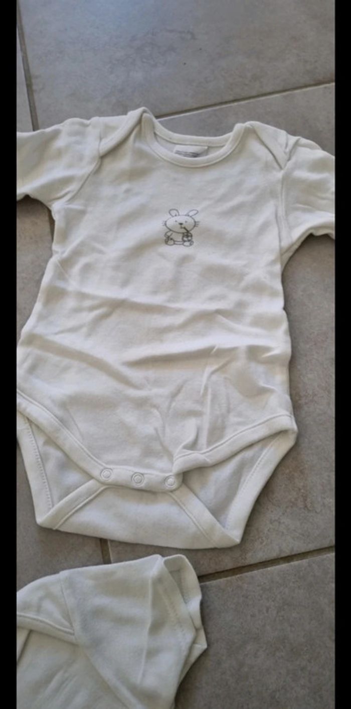 Lot bodies manches courtes - photo numéro 3