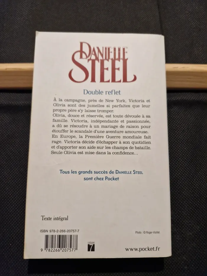 Double reflet - Danielle Steel - photo numéro 5