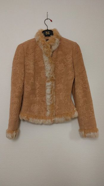 Veste chic avec fourrure sur le col haut les manches et le devant