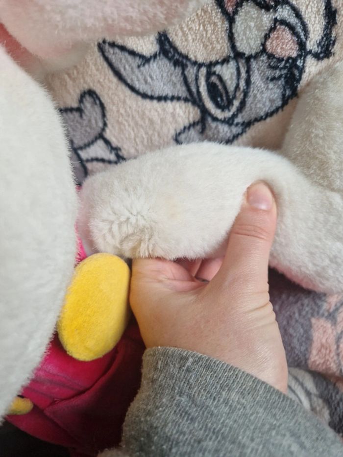Peluche géante diddl - photo numéro 19