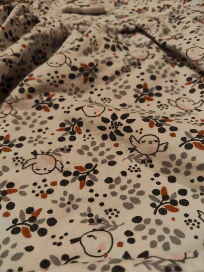 Ensemble DPAM oiseau - photo numéro 2