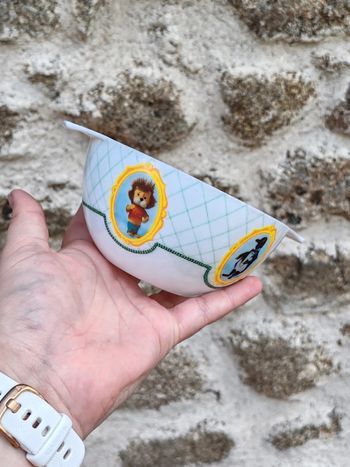 Bol en mélamine - ortf