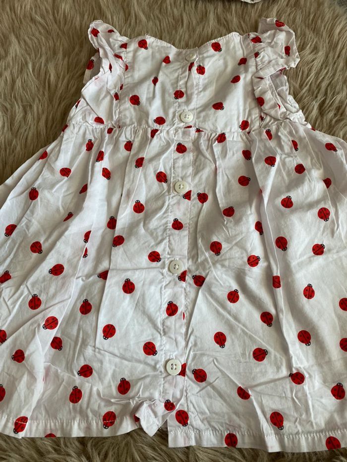 Robe coccinelle - photo numéro 2