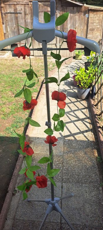 Guirlande rose