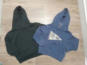 Lot 2 sweat à capuche