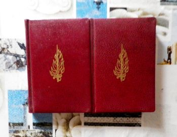 Invasion 14 de Maxence Van Der Meersch