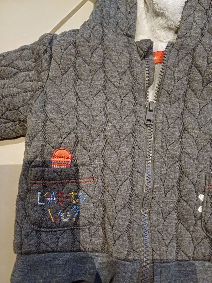 Sweat zippé a capuche 9 mois Tissaïa - photo numéro 2