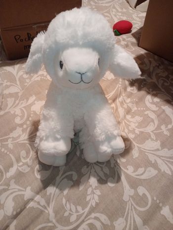 Peluche agneau