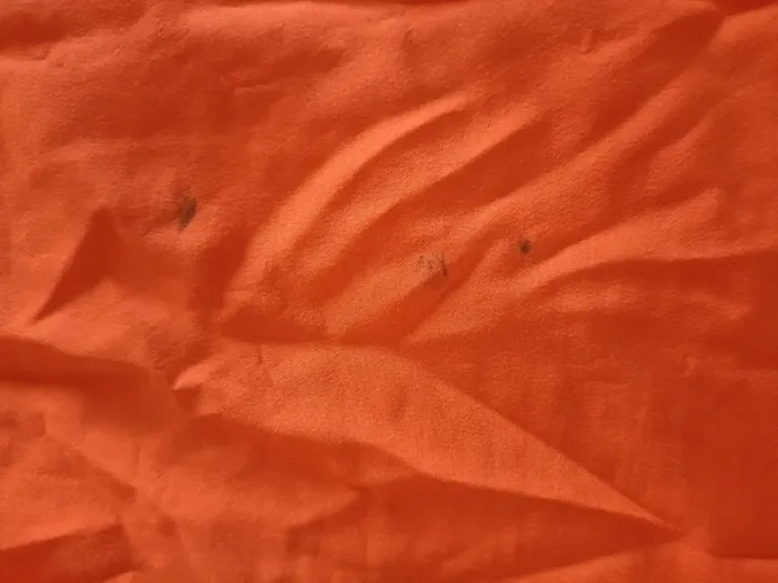 Short Nike foot mhsc taille m porté par un joueur - photo numéro 8