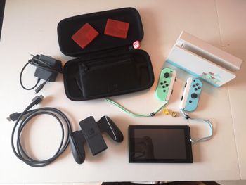Nintendo Switch Animal Crossing
