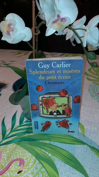 Splendeurs et misères du petit écran de Guy carlier
