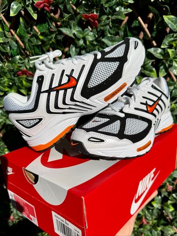 Nike pegasus 2005