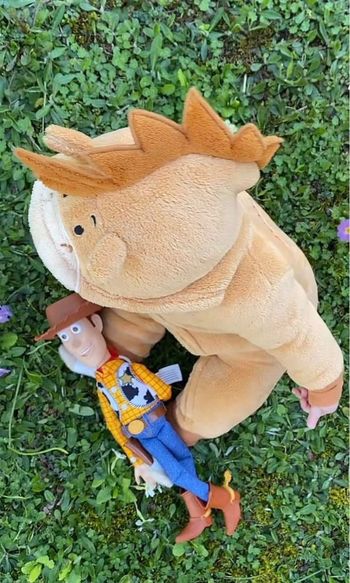 Combinaison Bullseye Toy story 