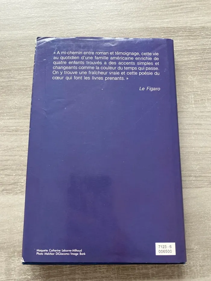 Livre / roman Je sais qu’il y aura toujours des anges - photo numéro 2