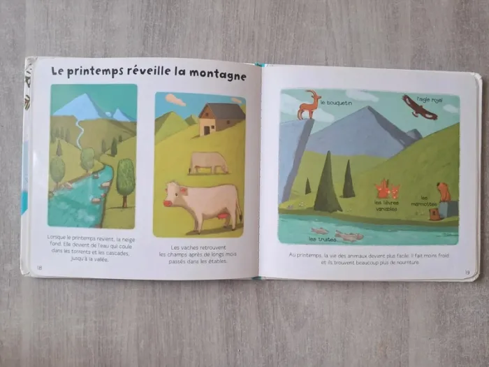 Livre Ma Baby encyclopédie Larousse la montagne - photo numéro 4