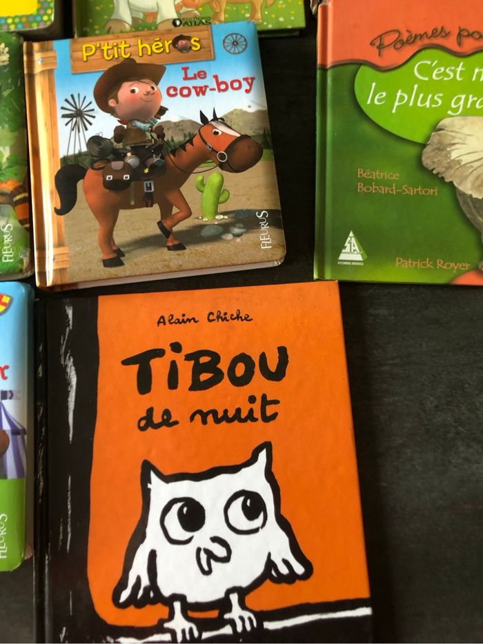 Lot de livres - photo numéro 4