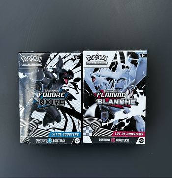 Pack 2 bundles EV 10.5