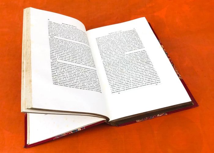 Anquetil Histoire de France (1857) Furne et Cie Editeurs Paris - photo numéro 7