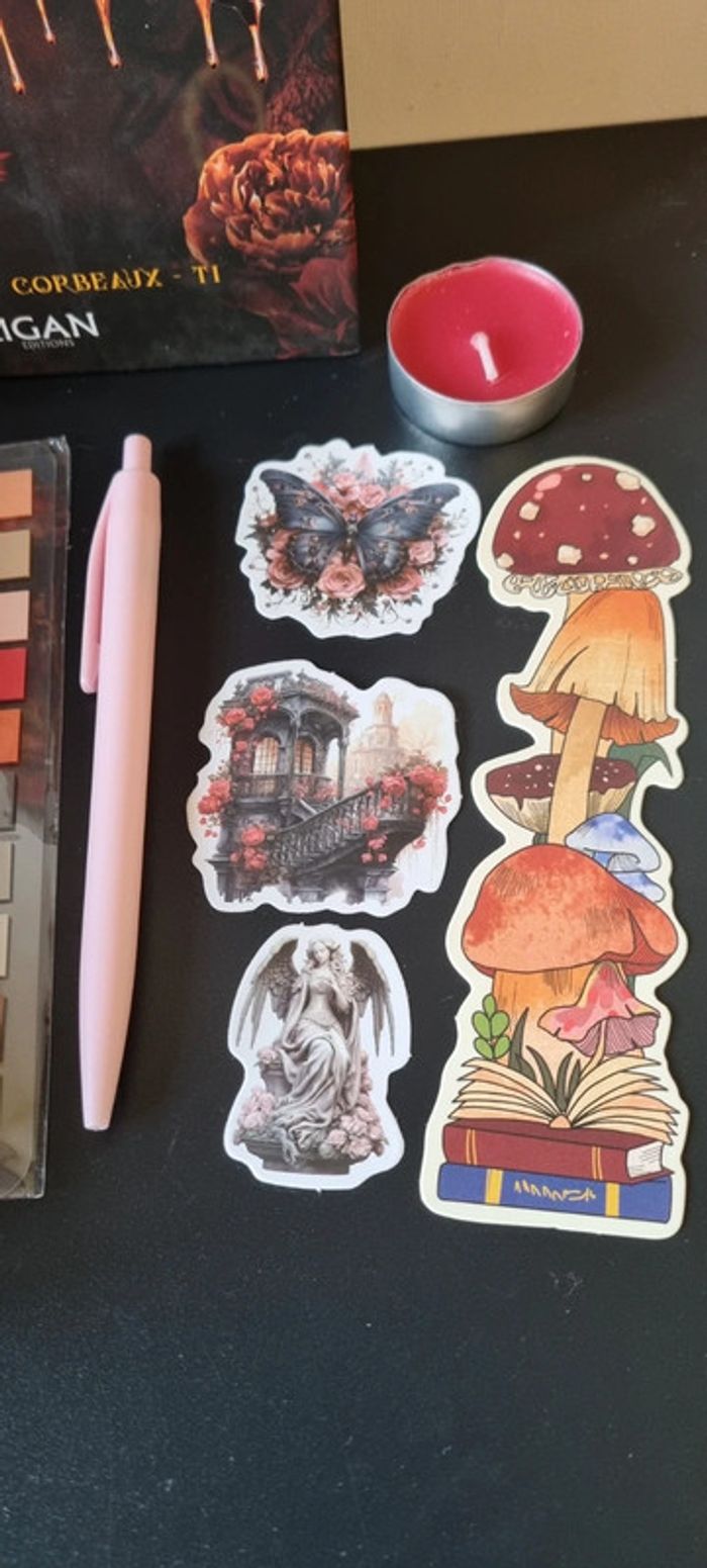 Box La Maison aux ailes déployées + Goodies - photo numéro 10