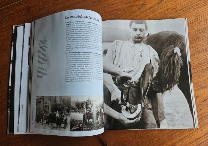"Métiers oubliés".
210 pages.
ISBN : 2.7441.6288.4.
(Livre courbé). - photo numéro 7