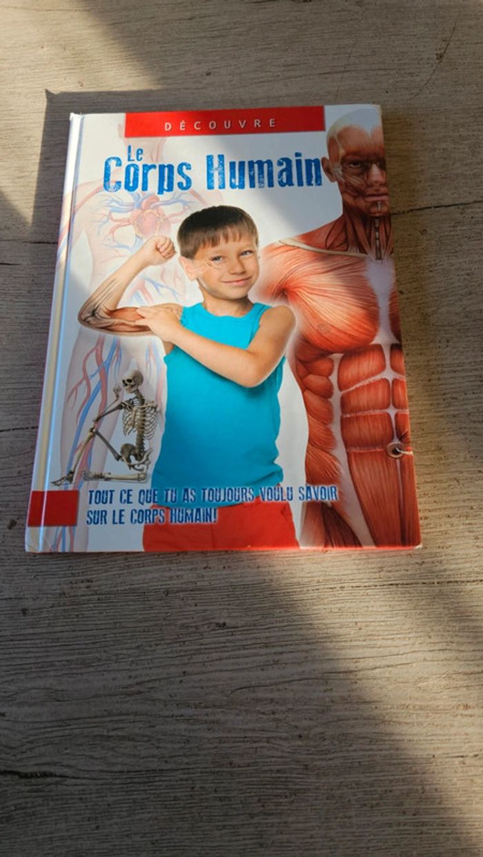 Livre enfant Découvre le Corps humain, edition Cuberdon Books - photo numéro 4
