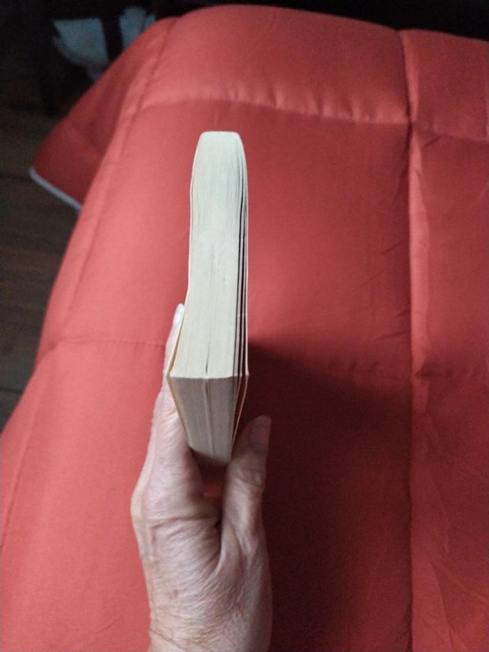 Quelqu'un de bien de Françoise Bourdin - photo numéro 4