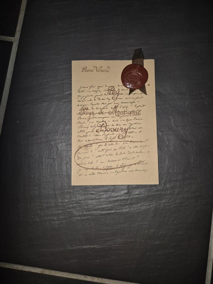 Livre ry pays de madame de bovary