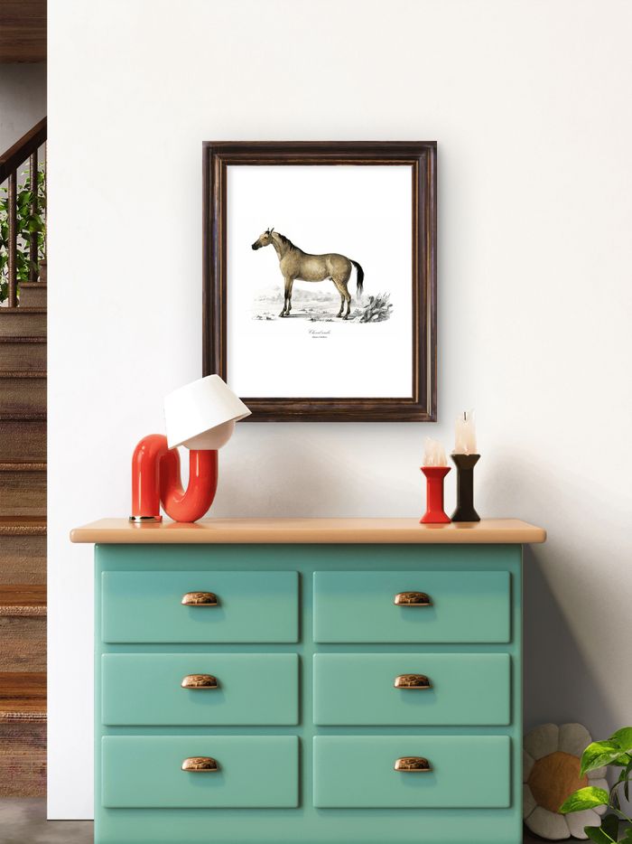 Affiche déco vintage Cheval - photo numéro 3